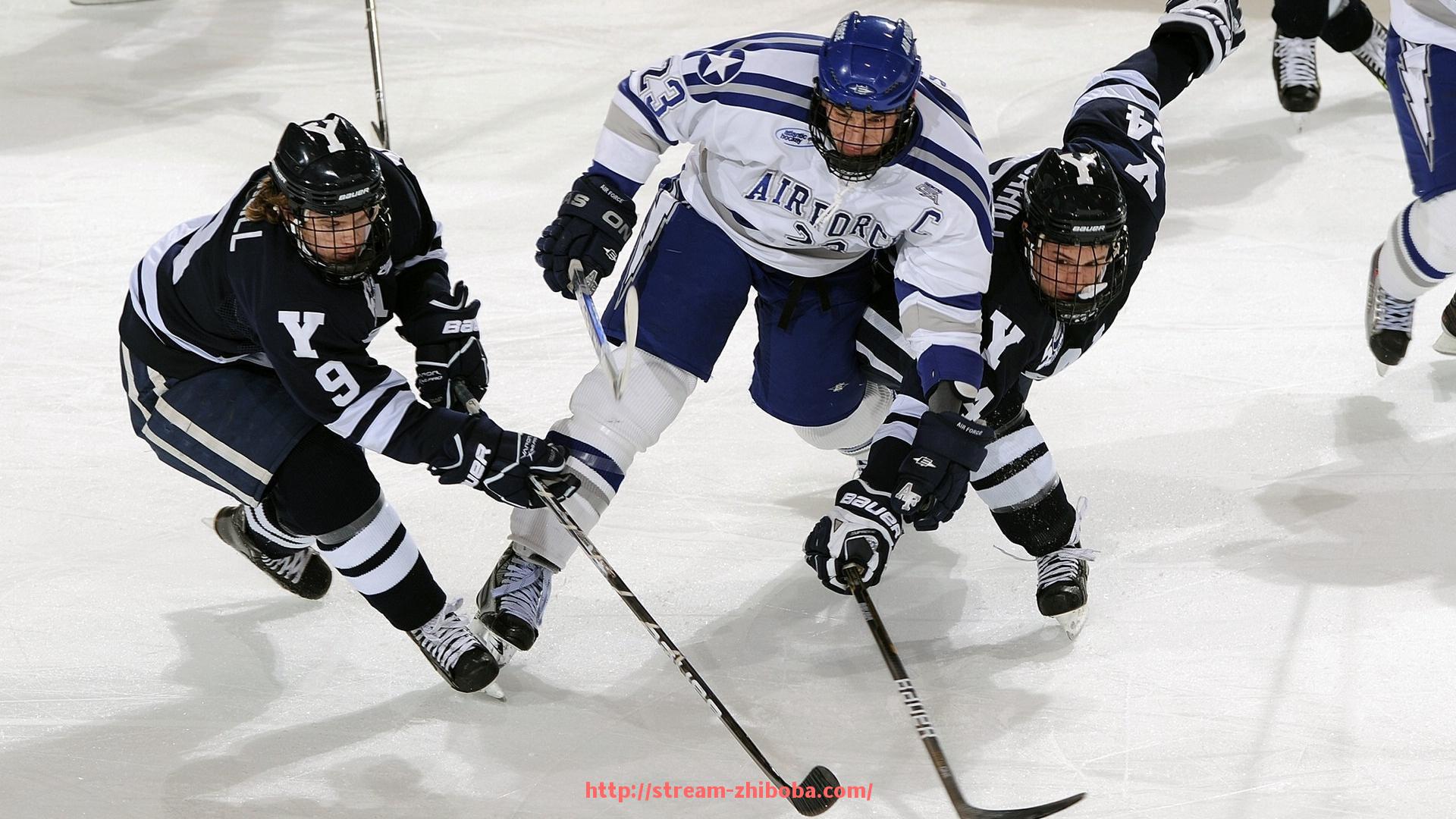 直播吧-德甲衰落的球队：德甲历史上曾辉煌如今衰落的球队分析